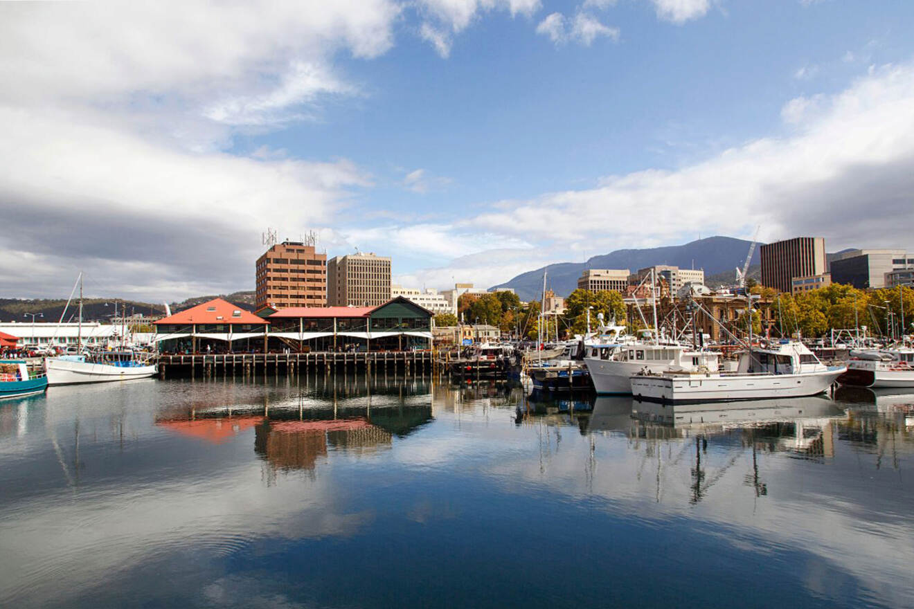 7 best things to do in Hobart